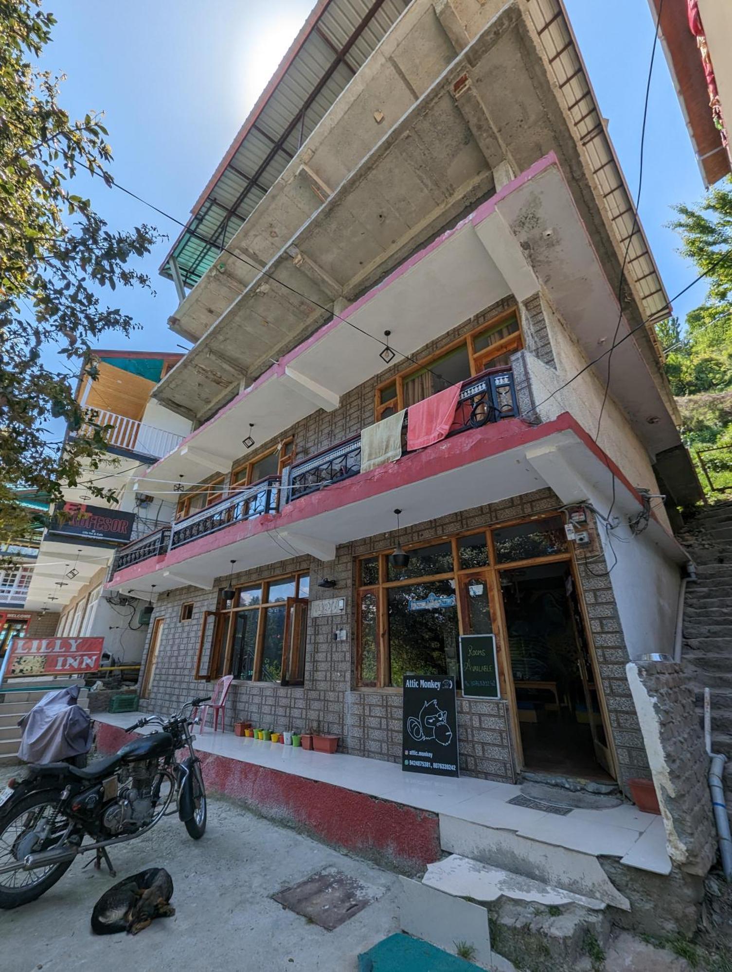 مايالي Attic Monkey Cafe & Rooms المظهر الخارجي الصورة